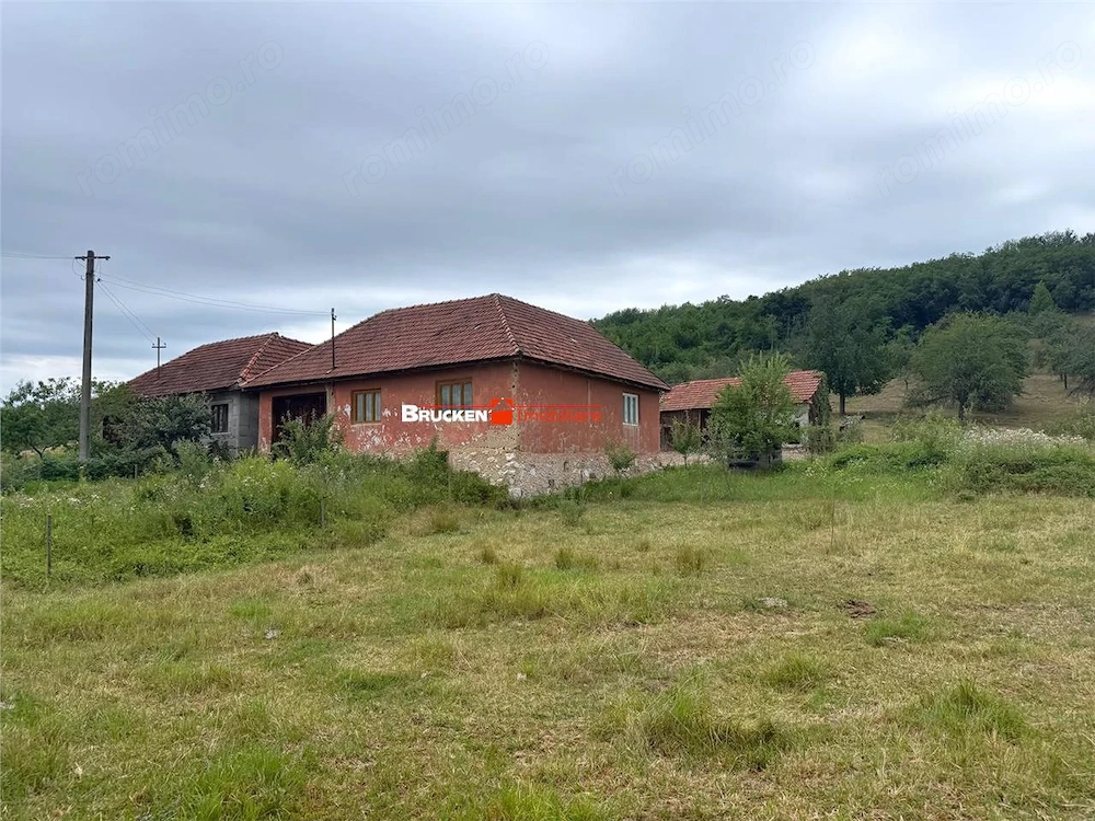 Aproximativ4 ha teren | Casa batraneasca | Beiusele - Bihor