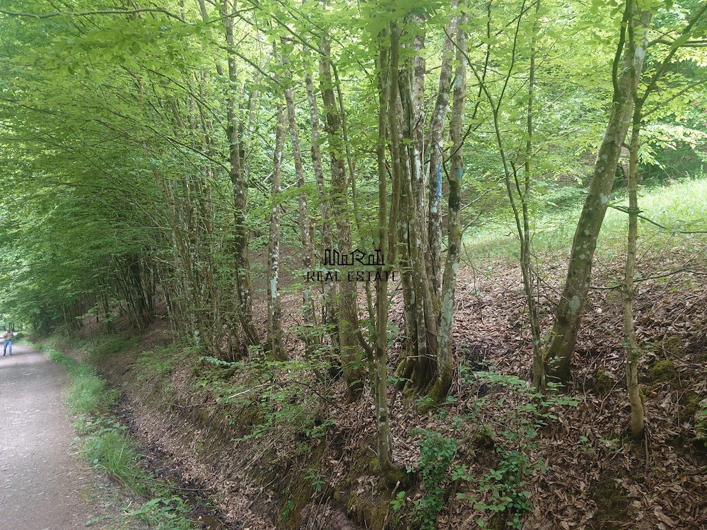 Teren in Bulzestii de Sus 3700mp