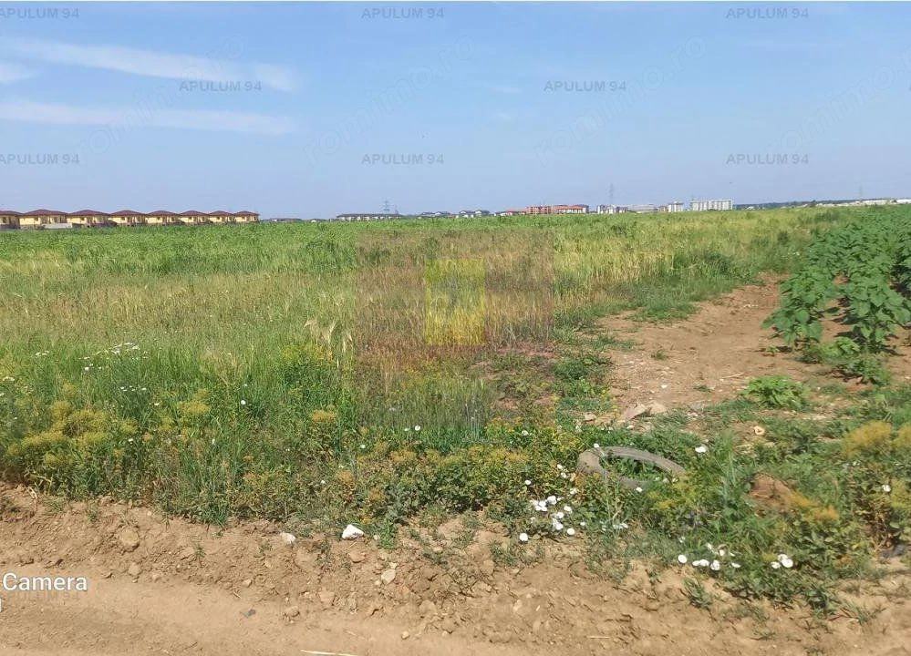 Teren, zona Dobroesti Pantelimon