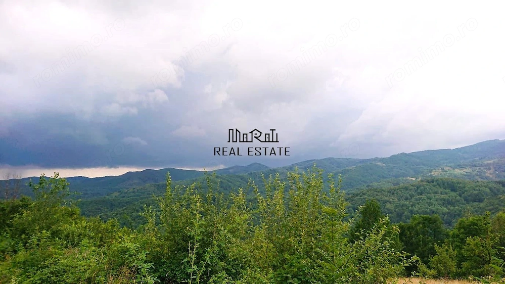 Teren cu Padure in Bulzestii de Sus 4200mp