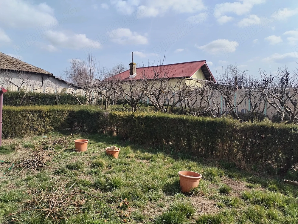 NEGRU VODA-Casa 5 camere garaj-livada 40 pomi fructiferi - Central