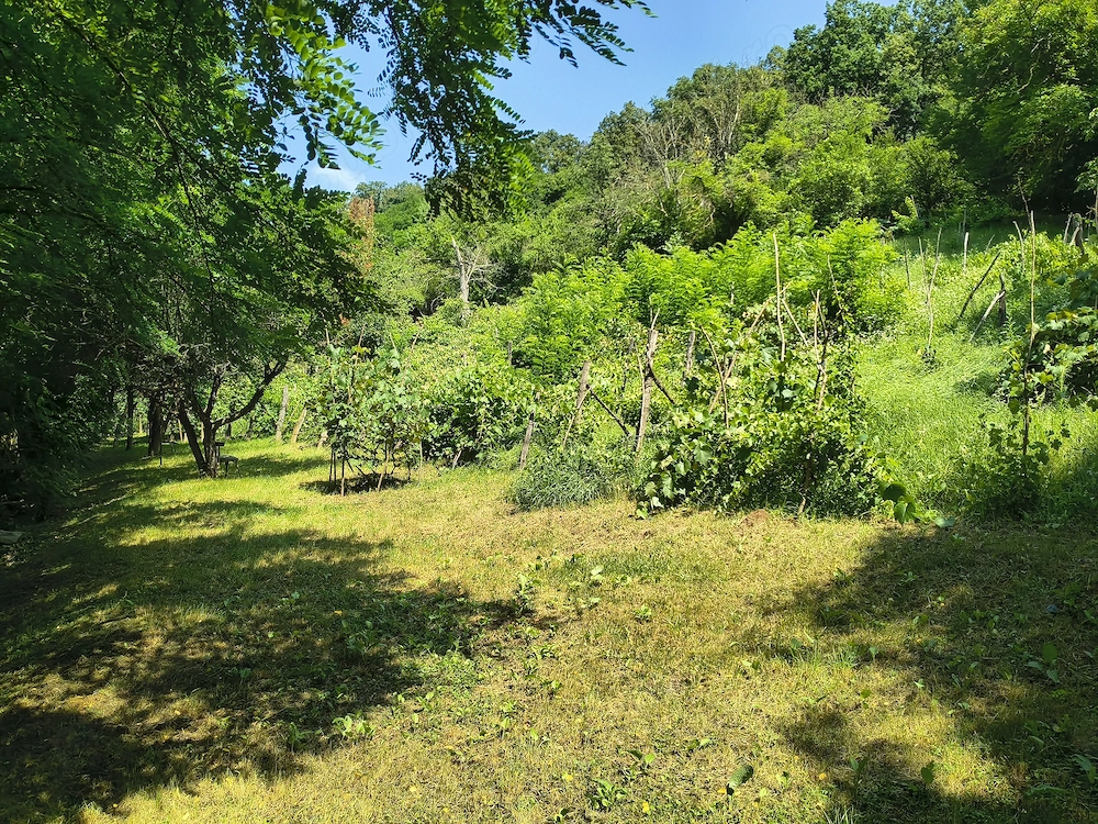 Teren intravilan 5.600 mp Valea Budului   Mărgineni, Bacău | 25EUR mp | Ideal casă Investiție.
