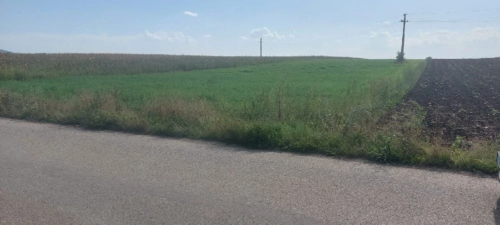 Vand  Schimb teren ,loc de casă 