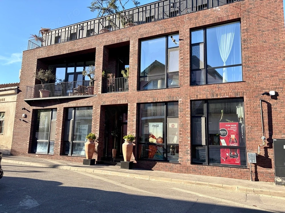 spatiu comercial   birouri centru drobeta 