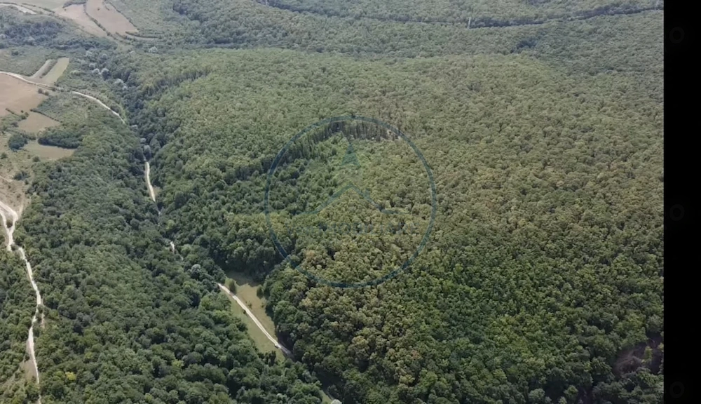 🌳 OPORTUNITATEA RARĂ DE INVESTIȚIE- PĂDURE DE VÂNZARE 38,24 HA- MINTIU 
