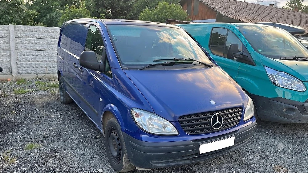Mercedes vito si ford tranzit