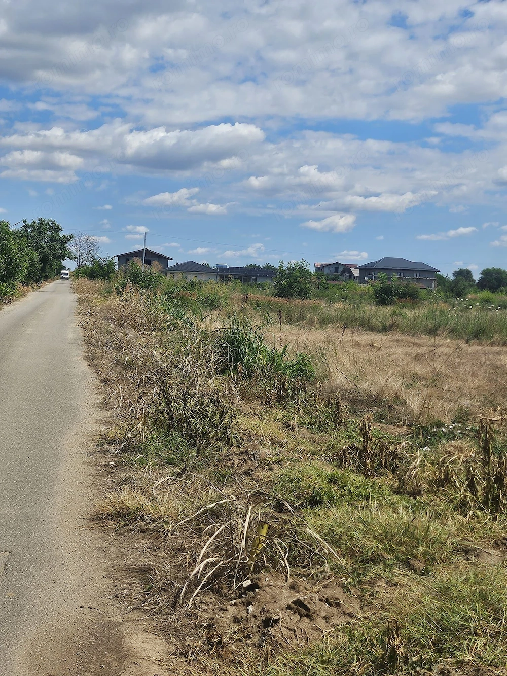Teren 8000 mp intravilan rezidential Adunatii Copaceni (Mogossesti )