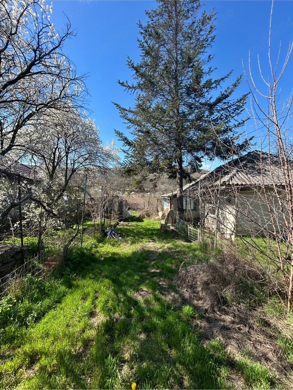 Casa de Vanzare Teren 3843mp