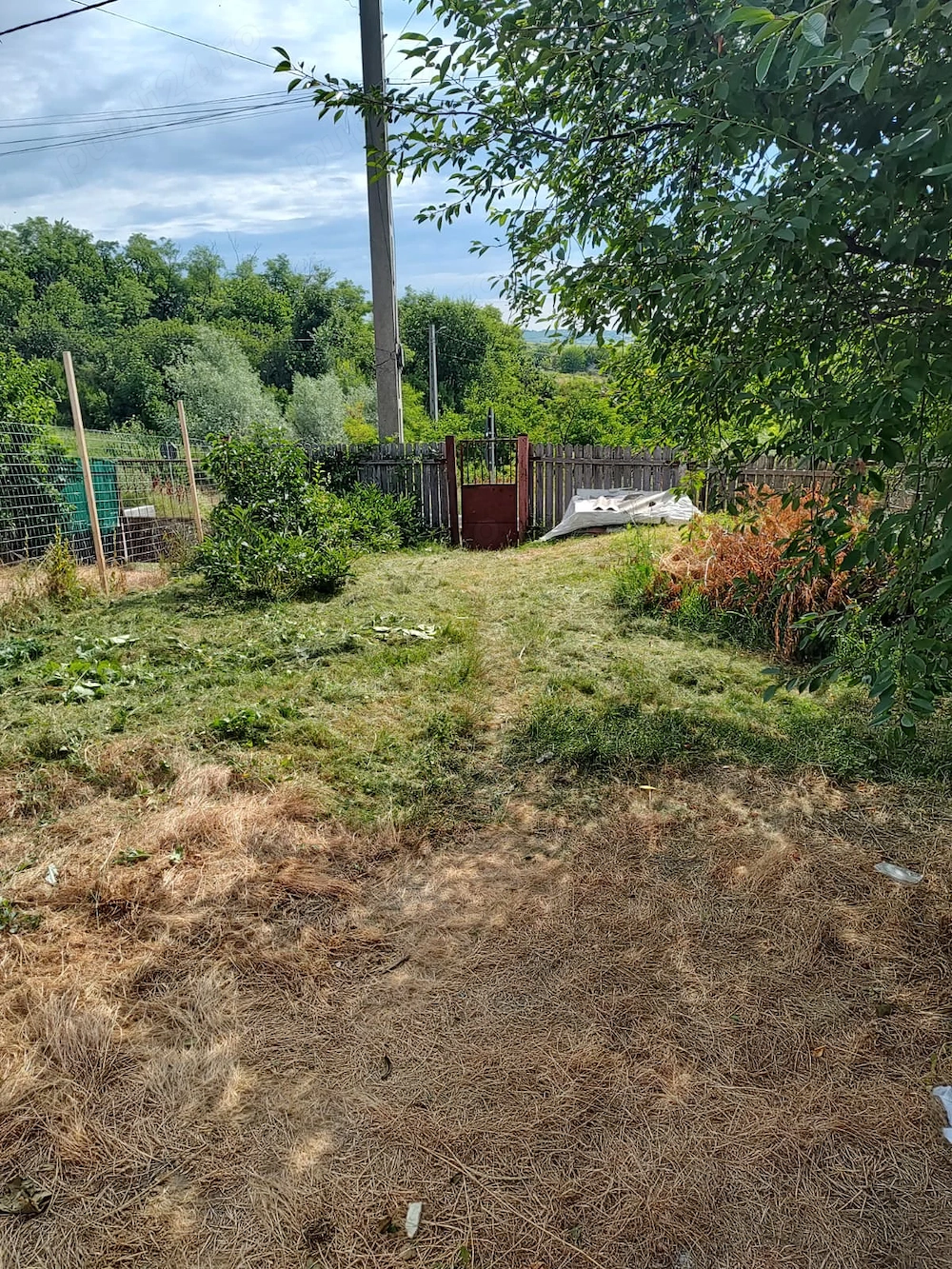 Casă veche cu teren