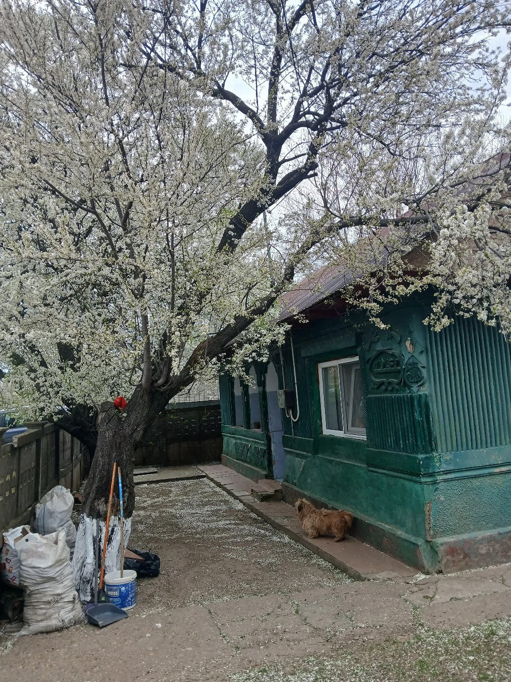 casa de vanzare