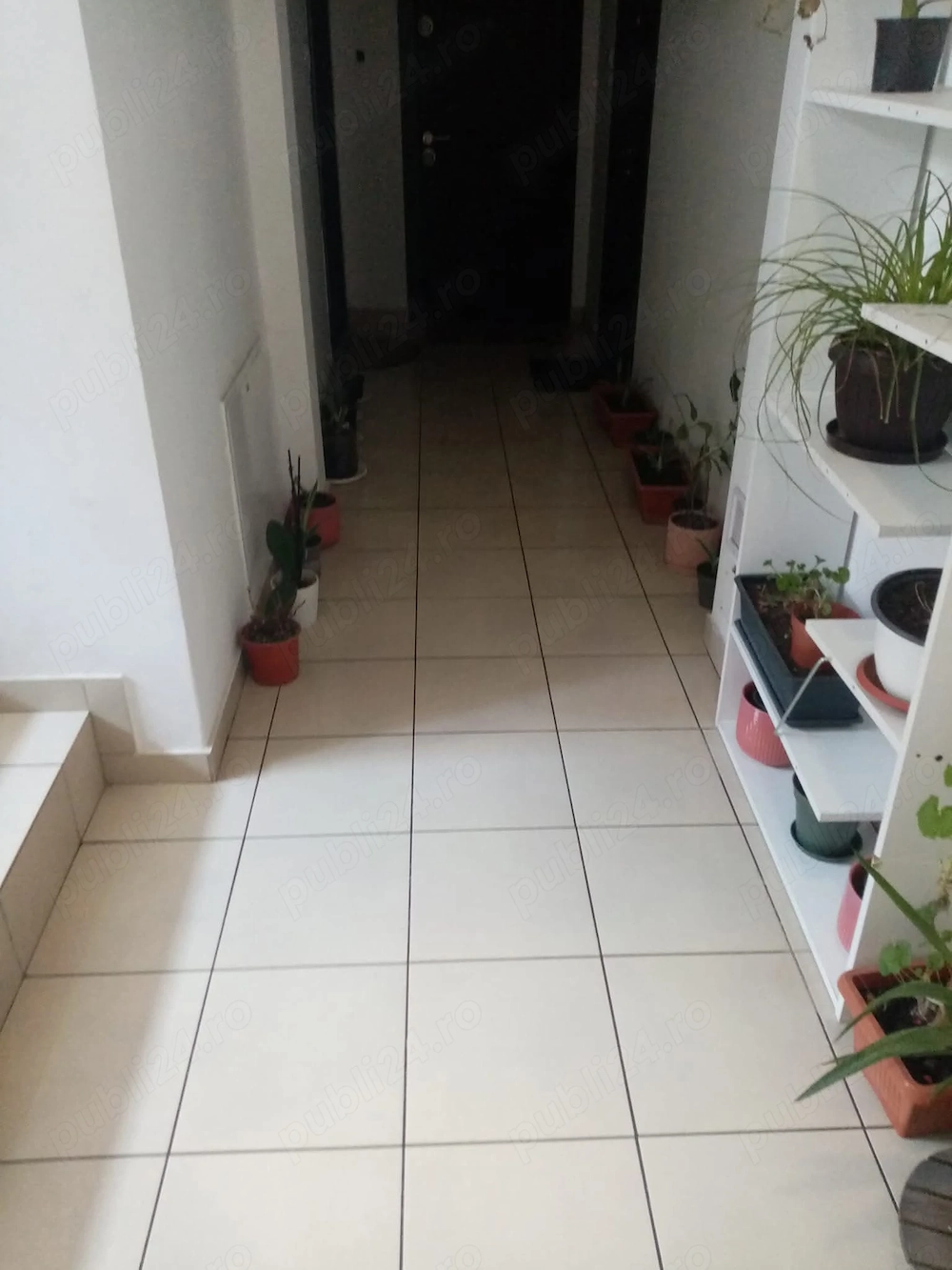 Ofer servicii de curățenie inclusiv după constructor 