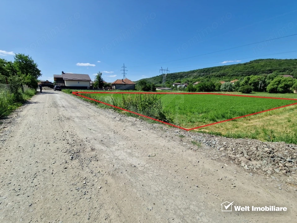 Teren intravilan 2000 mp – Popesti (Baciu) Ideal pentru casă, grădină și livada