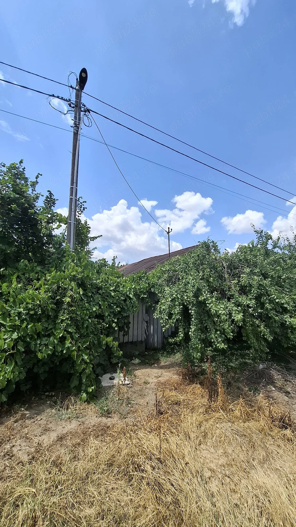 Casa + teren 1000 mp sat Floroaica com Valcelele jud Calarasi 