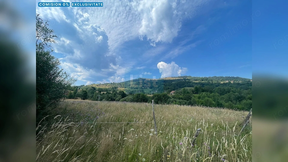 Teren cu potențial turistic, cadru natural rar, 20.000 mp  Sacuieu