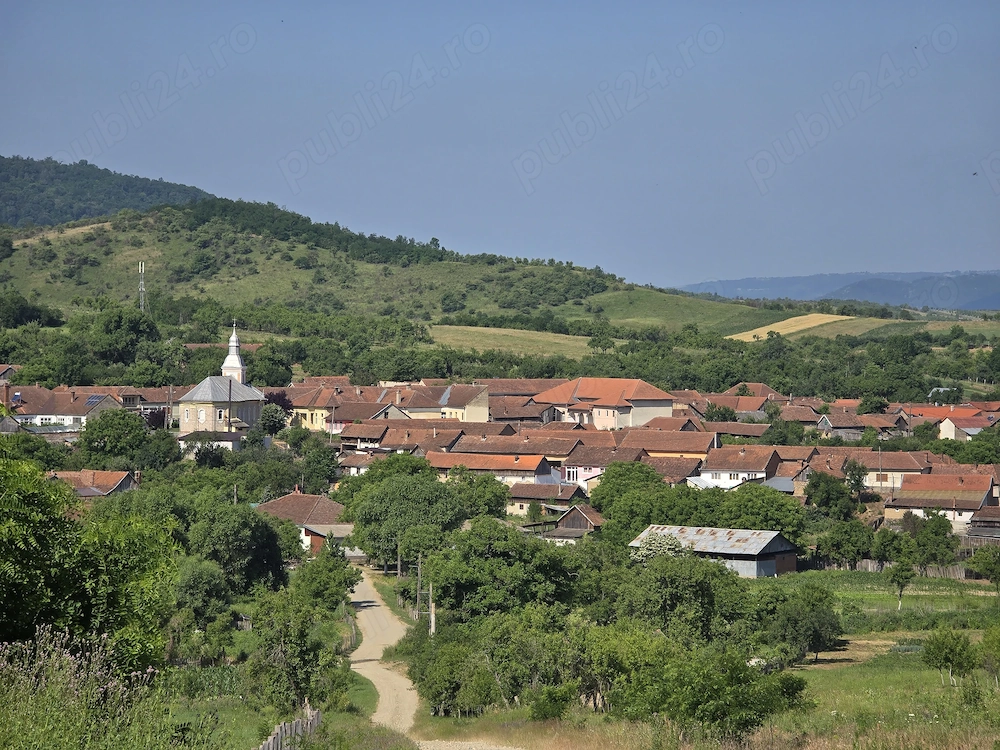 Casa de vanzare la sosea in Girbovat, langa Bozovici, 5 camere