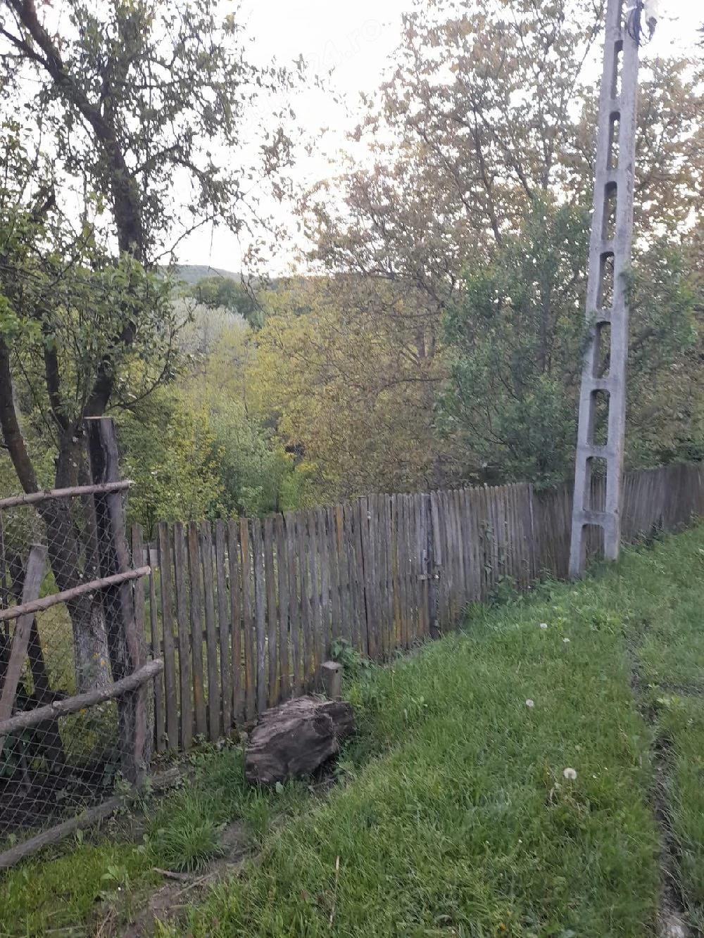  Cabană și teren 1600 metri intravilan  la  munte