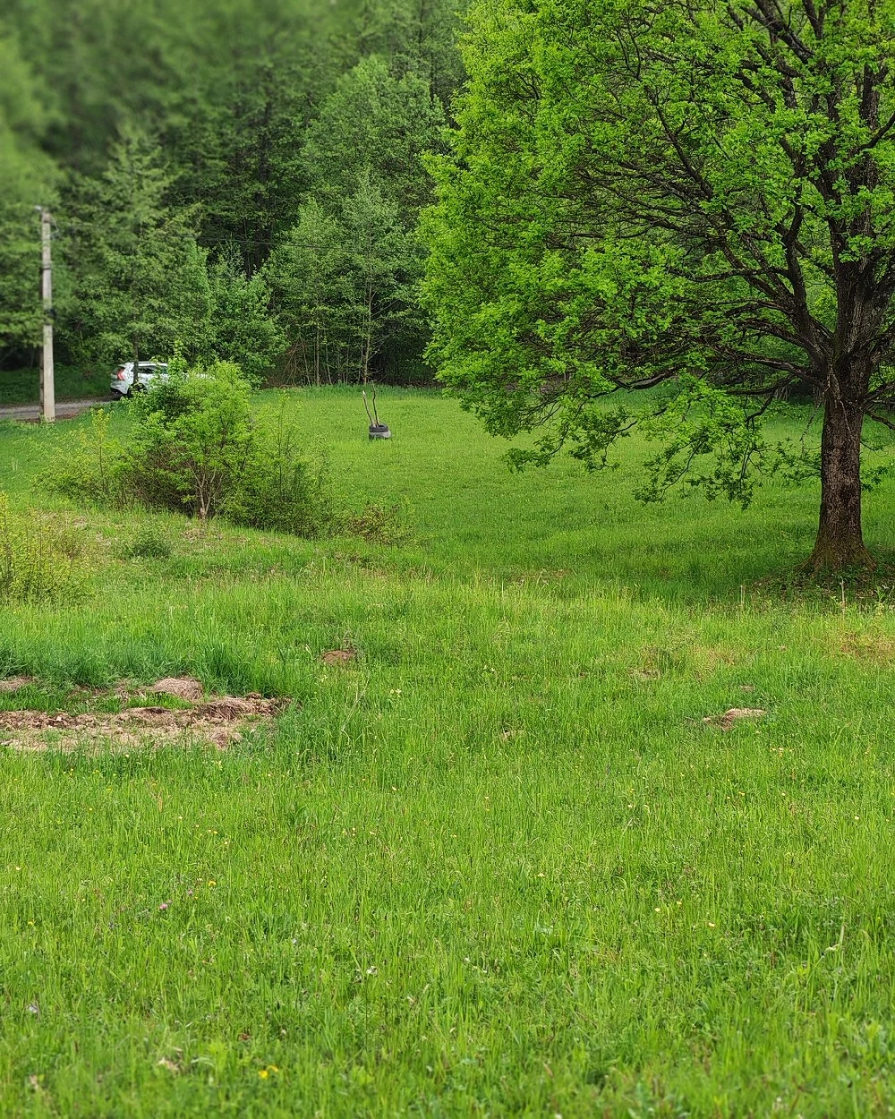 5200 mp teren Ibănești Tireu