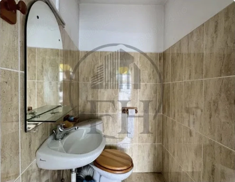 Spatiu comercial + anexe + curte
