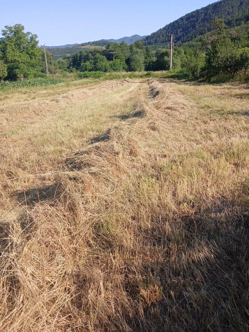 Vând teren în comuna pui 