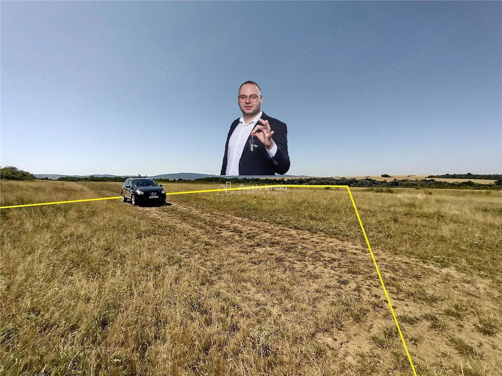 Nicolint, 2 Terenuri Extravilane, Arabil, 1.45 Hectare