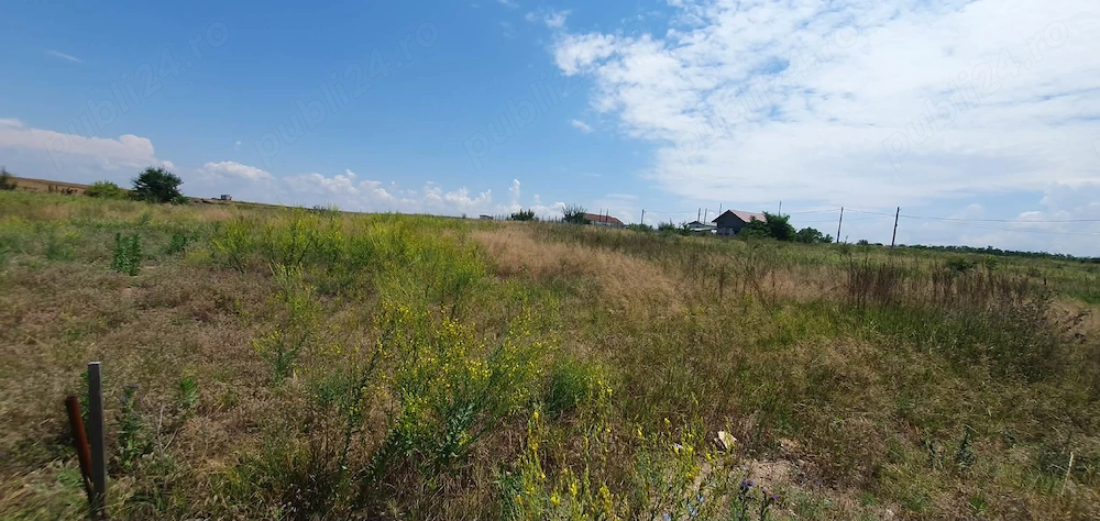 Vând teren  intravilan 524mp  în malu mare