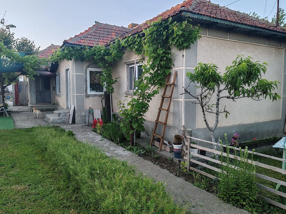 Casă cu teren generos în centrul comunei Cogealac   la doar 20 km de plaja Vadu și 40 km de Constanț