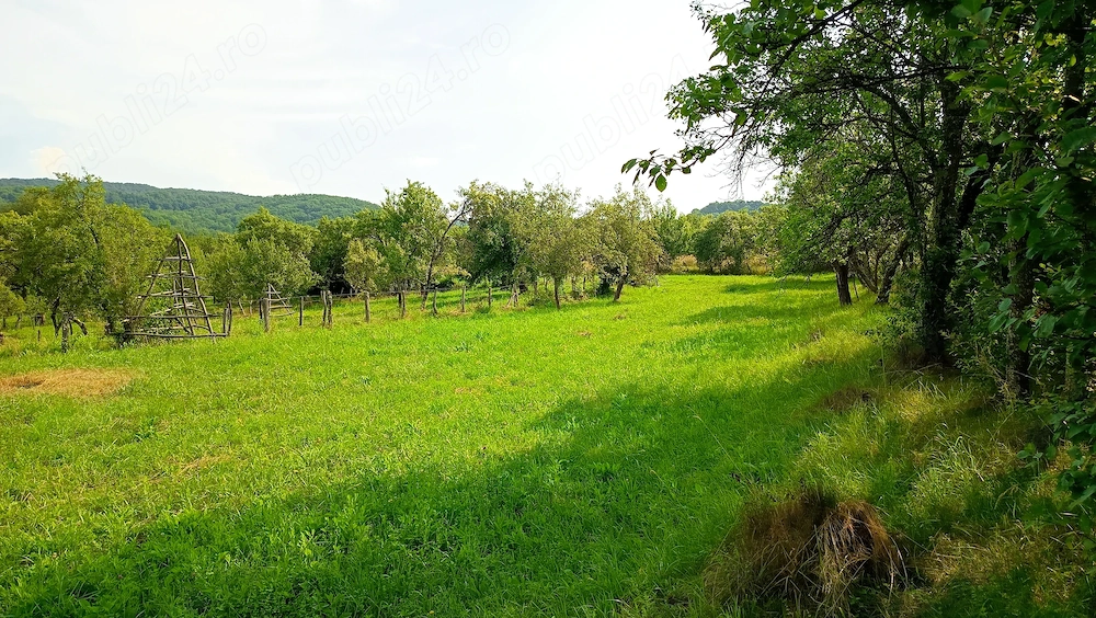 De vânzare: Teren intravilan 3.300 mp   Corbi, sat Stănești, jud. Argeș
