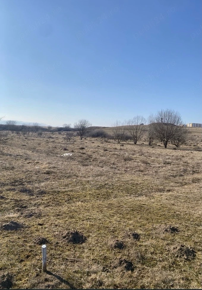 Teren de vanzare Selimbar (Troita)