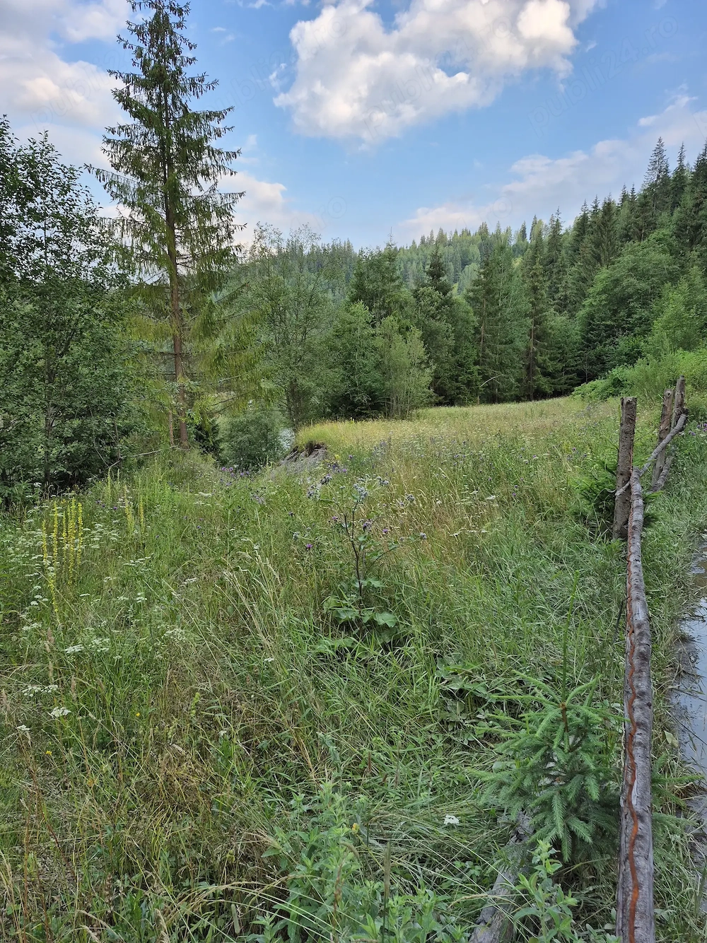 Vand teren in fundu Moldovei Suceava