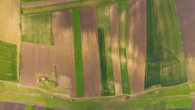 Vând 2,51 ha teren agricol la Diniaș