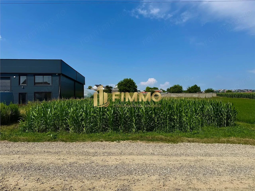 Teren 1600 mp | Intravilan | Ipotesti | Suceava | ID: 1880