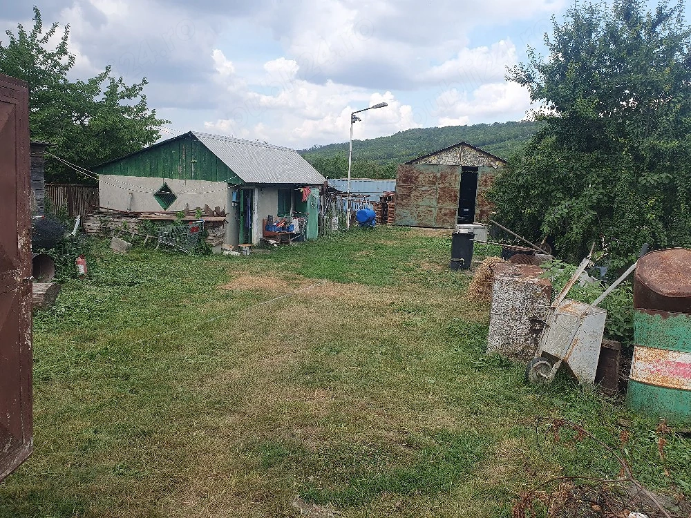 Teren cu hala si anexa 