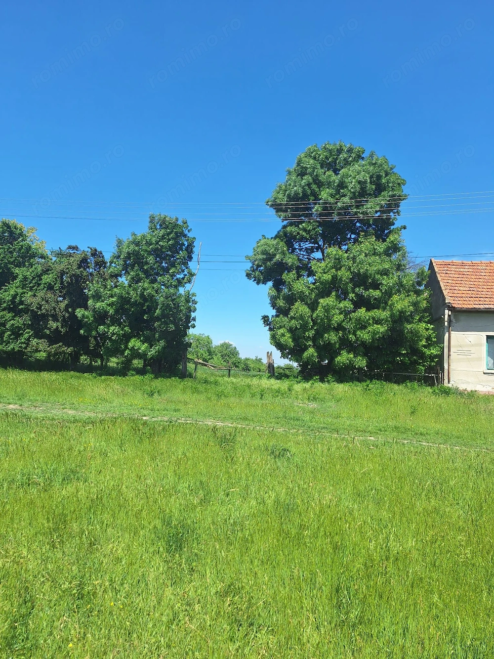 De vânzare   Proprietate în Chevereșu Mare, județul Timiș