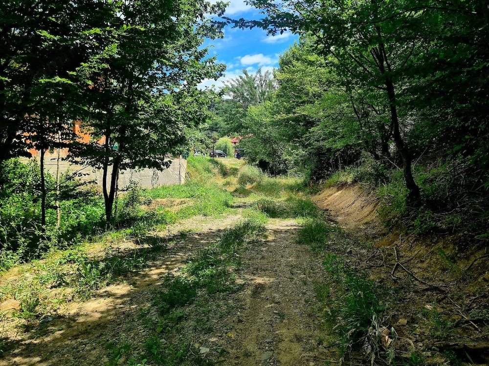 Teren intravilan 9500 mp