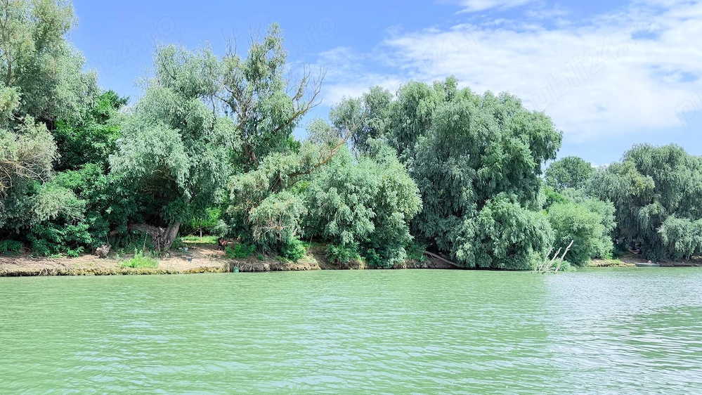 Vand teren Delta Dunarii cu acces la Dunare
