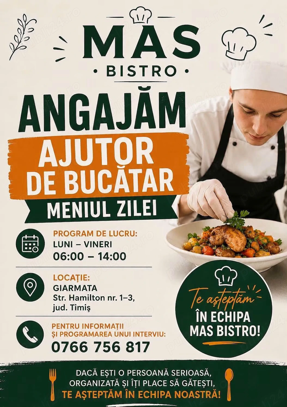 Ajutor Bucatar - Meniul Zilei - MAS Bistro