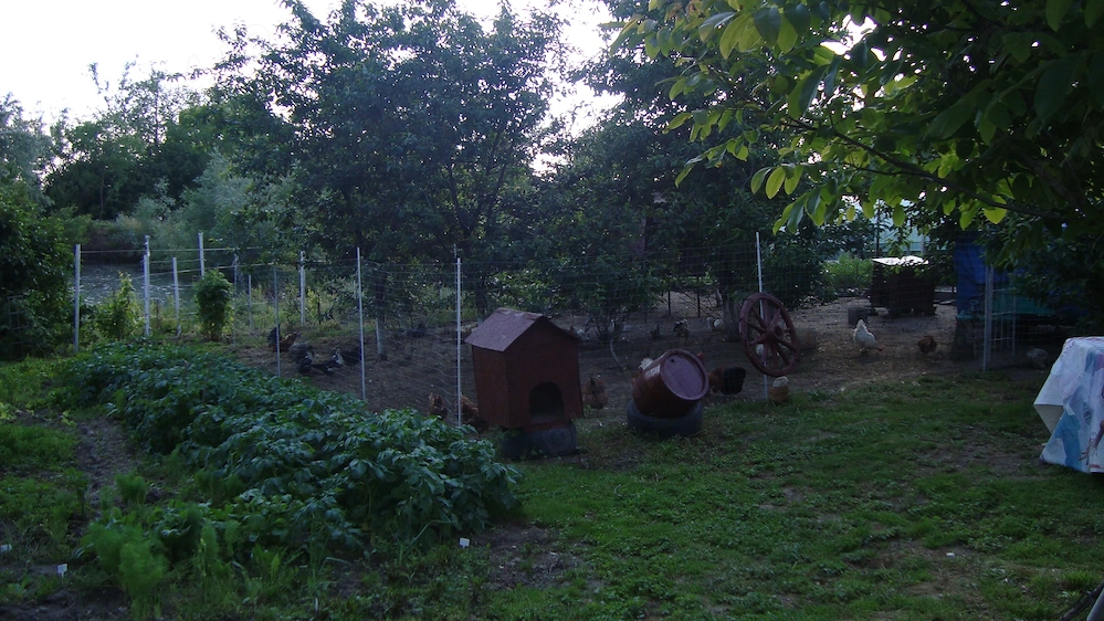 Vand Casa din caramida cu gradina loc de joaca pentru nepoti zona linistita