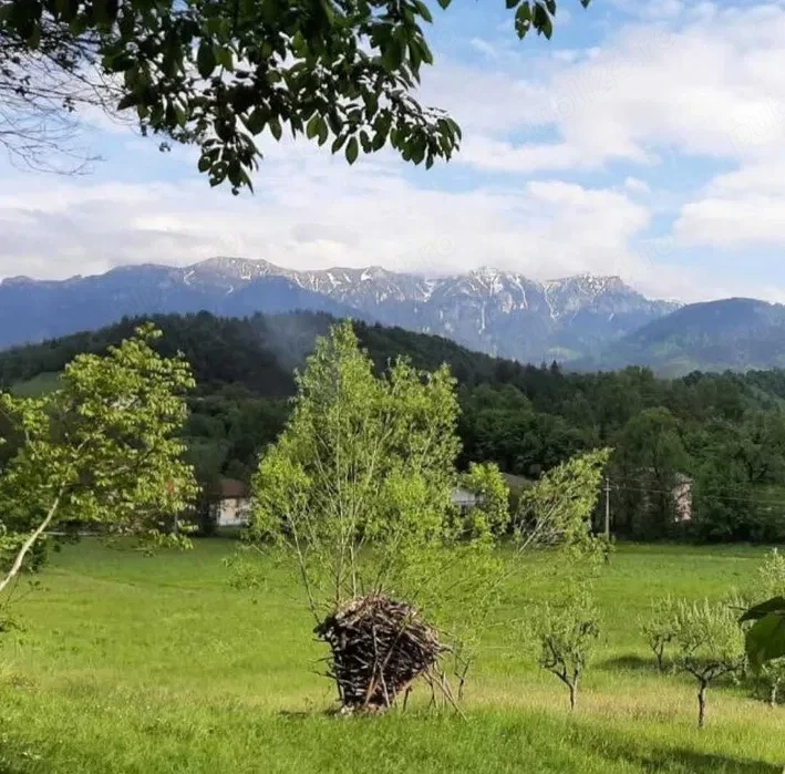 Vând Teren Moieciu de Jos   Proprietar  1,057 mp in spatele cofetariei Panner