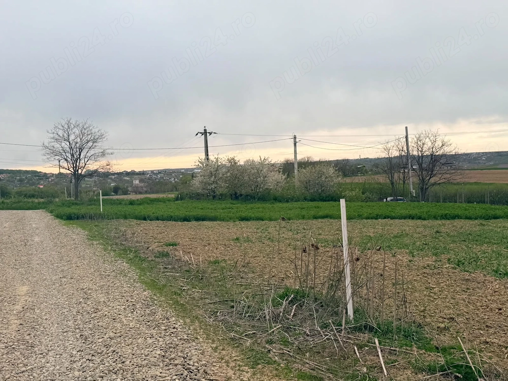 Vand loturi de teren Mănăstirea Doamnei Gaz-Apă-Curent electric