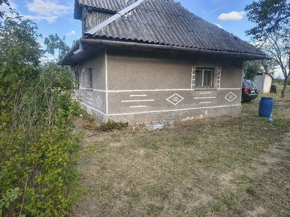 Cabana la deal cu vie si livada 