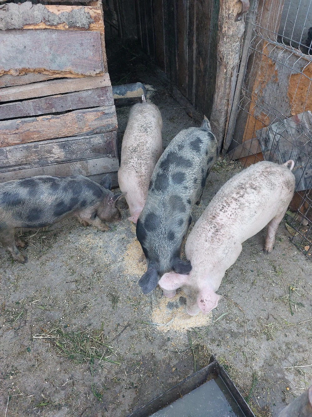 De vanzare