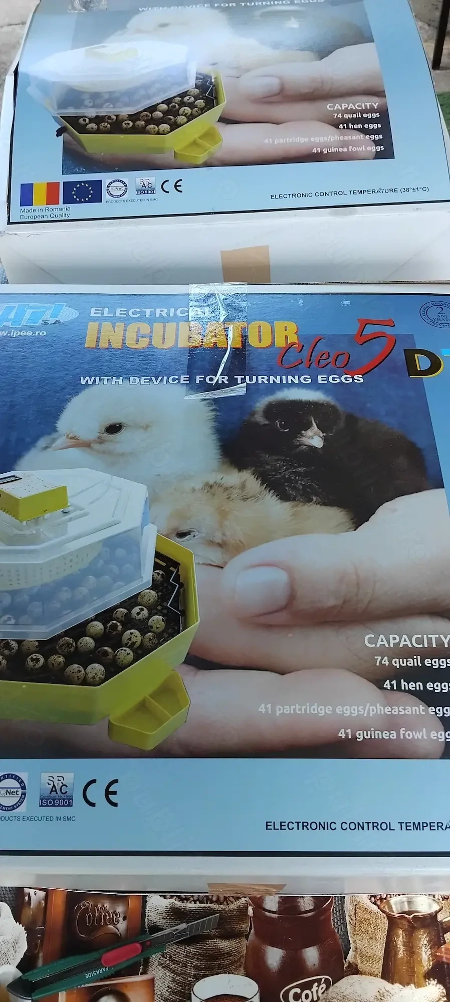 Incubator păsări