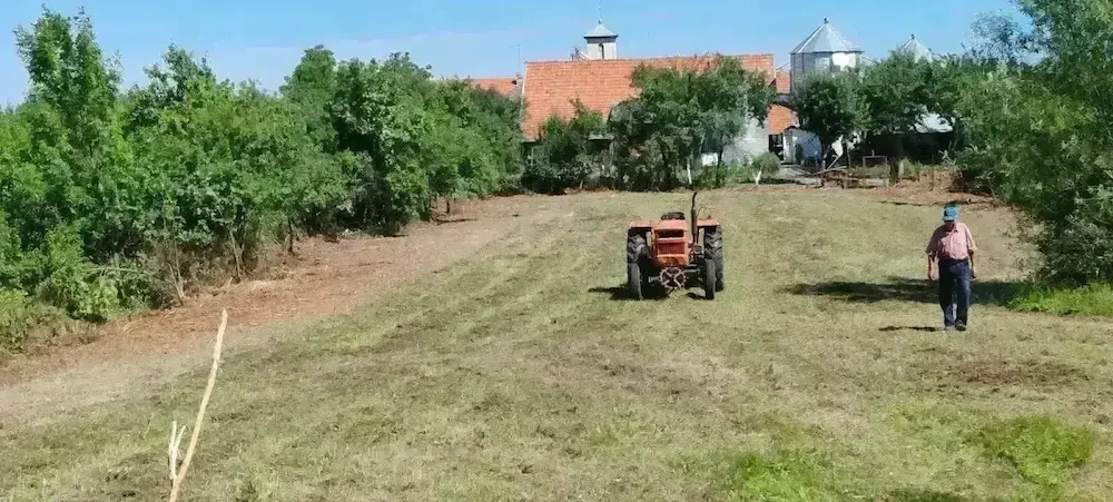 Vând teren intravilan. 