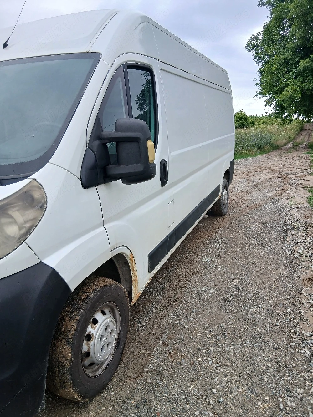 vand Peugeot