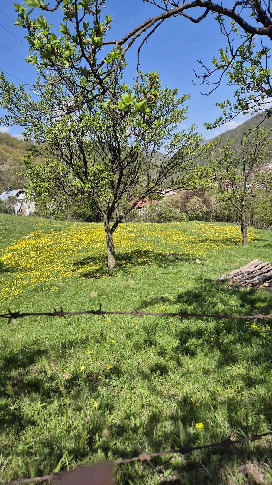 Vand teren Siriu