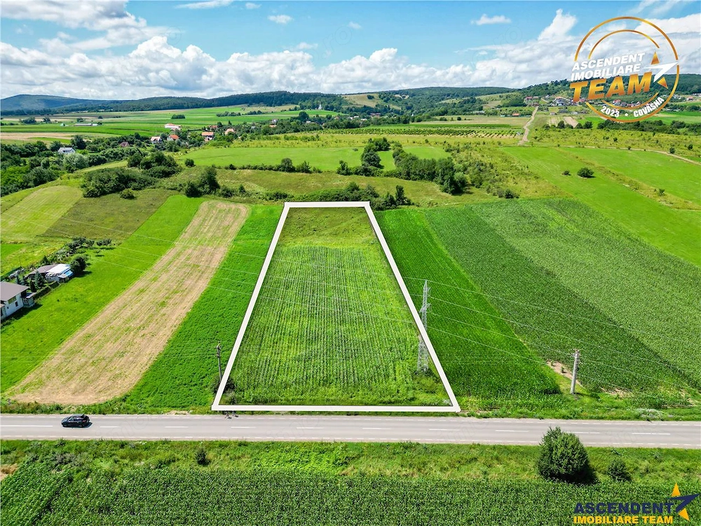 Oportunitate de investitie, PUZ aprobat: zona servicii