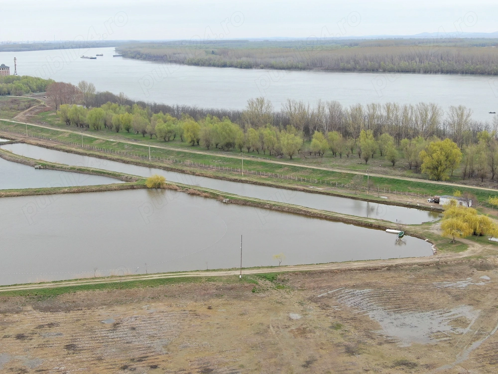 Oportunitate de investiție: complex piscicol de 40 ha la intrarea Dunării în Brăila