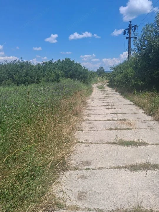 Teren extravilan 2.500 mp | Str. Ana Ipătescu, Târgu Jiu