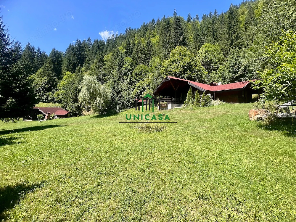 Proprietate deosebita de vanzare – Voinesița, Comuna Voineasa