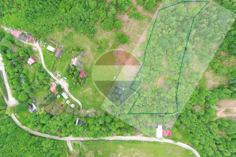 Teren 6700 mp, Apuseni, Pietroasa, Valea Aleului, Bihor, De Vânzare